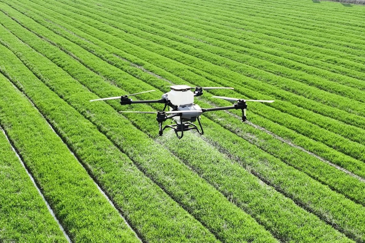 Agriculture, Surveying & Mapping